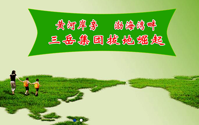 山东三岳化工集团