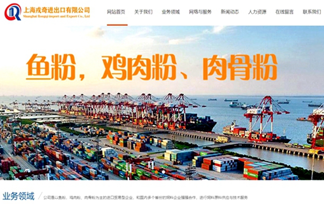 上海戎奇进出口有限公司