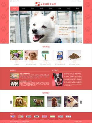 某宠物生活馆 0138