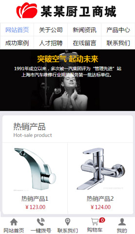 长沙电脑网站模板